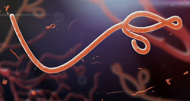 Ebola-620x330